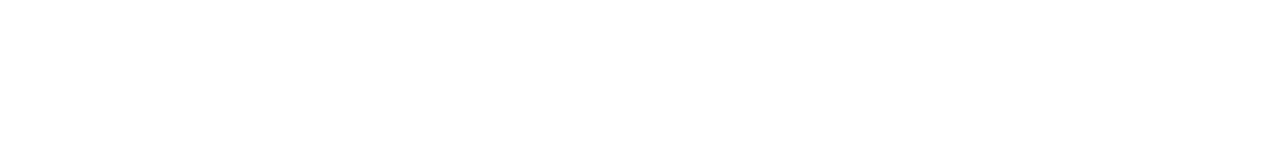 Zunarelli Group